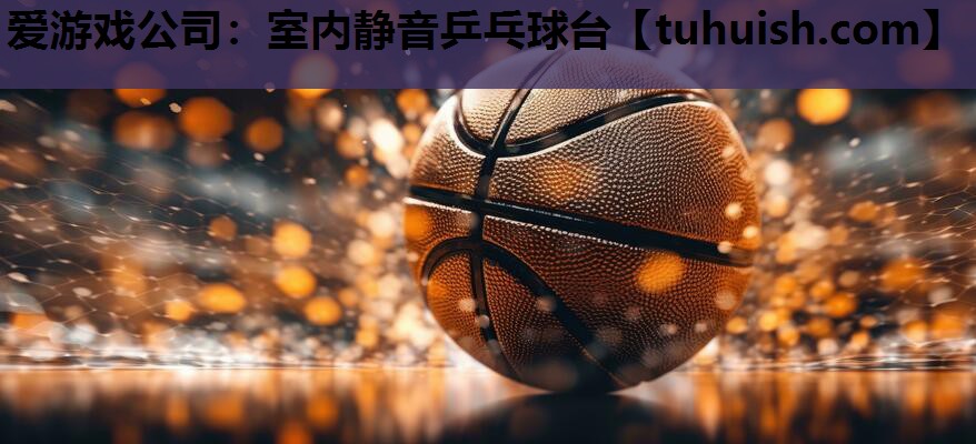 爱游戏公司：室内静音乒乓球台