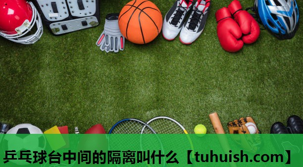 乒乓球台中间的隔离叫什么