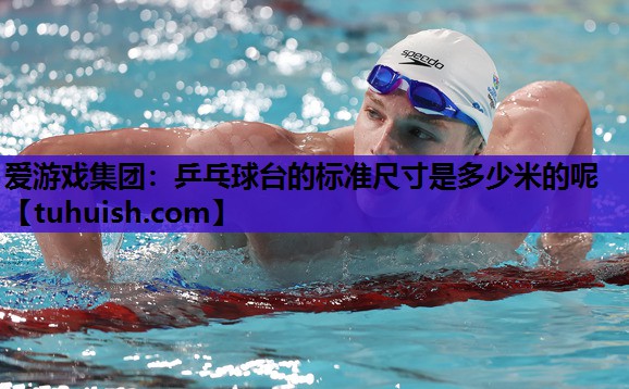 乒乓球台的标准尺寸是多少米的呢
