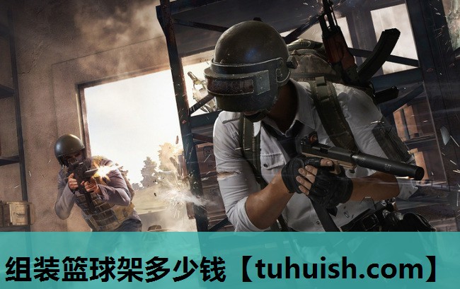 组装篮球架多少钱
